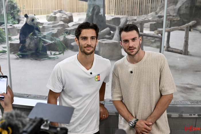 关注的强队 关注的强队