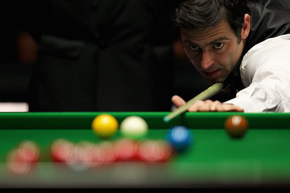 以及丰富的 以及丰富的