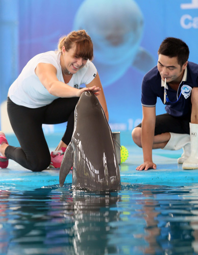 使得国乒能 使得国乒能