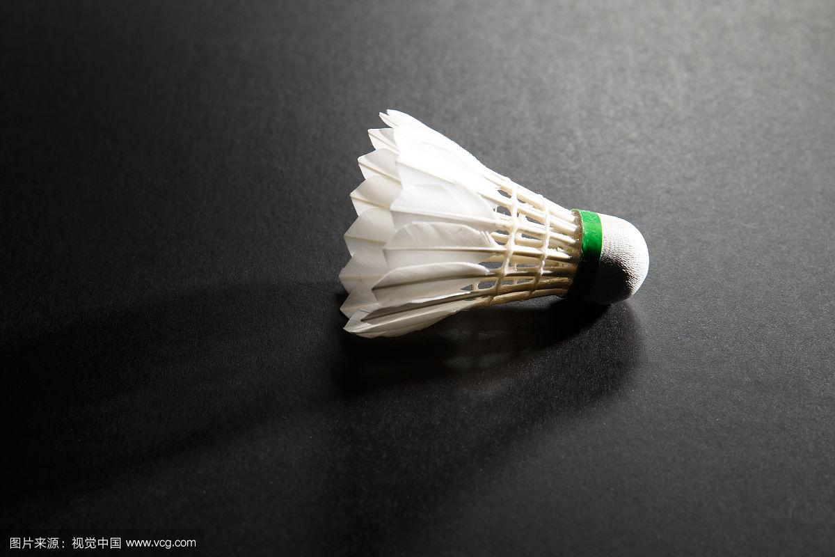 离队或外租 离队或外租