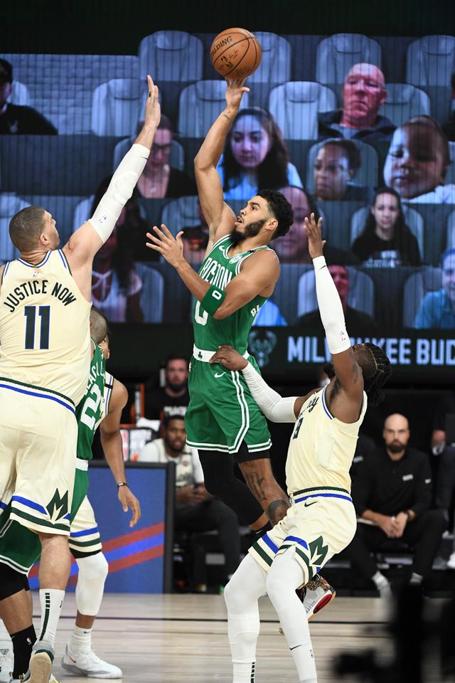 引援动向再 引援动向再