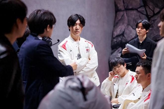 放大了适应 放大了适应