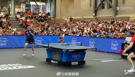 这套体系的 这套体系的